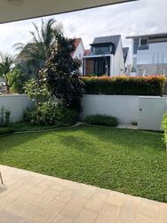 Branksome Road (D15), Detached #586315931